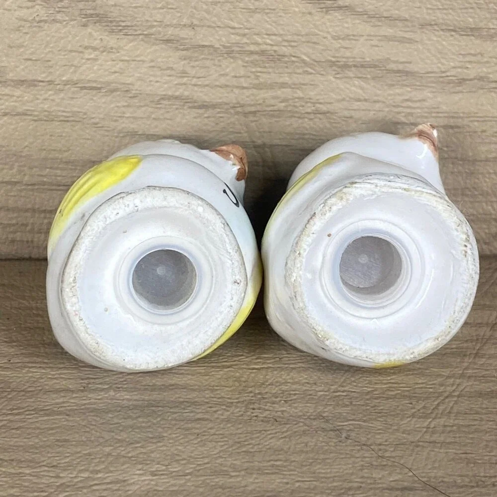 Vintage Ceramic Bird Salt & Pepper Shakers Set
